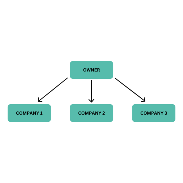 Understanding Business Group Structures: A Strategic Approach - The ...